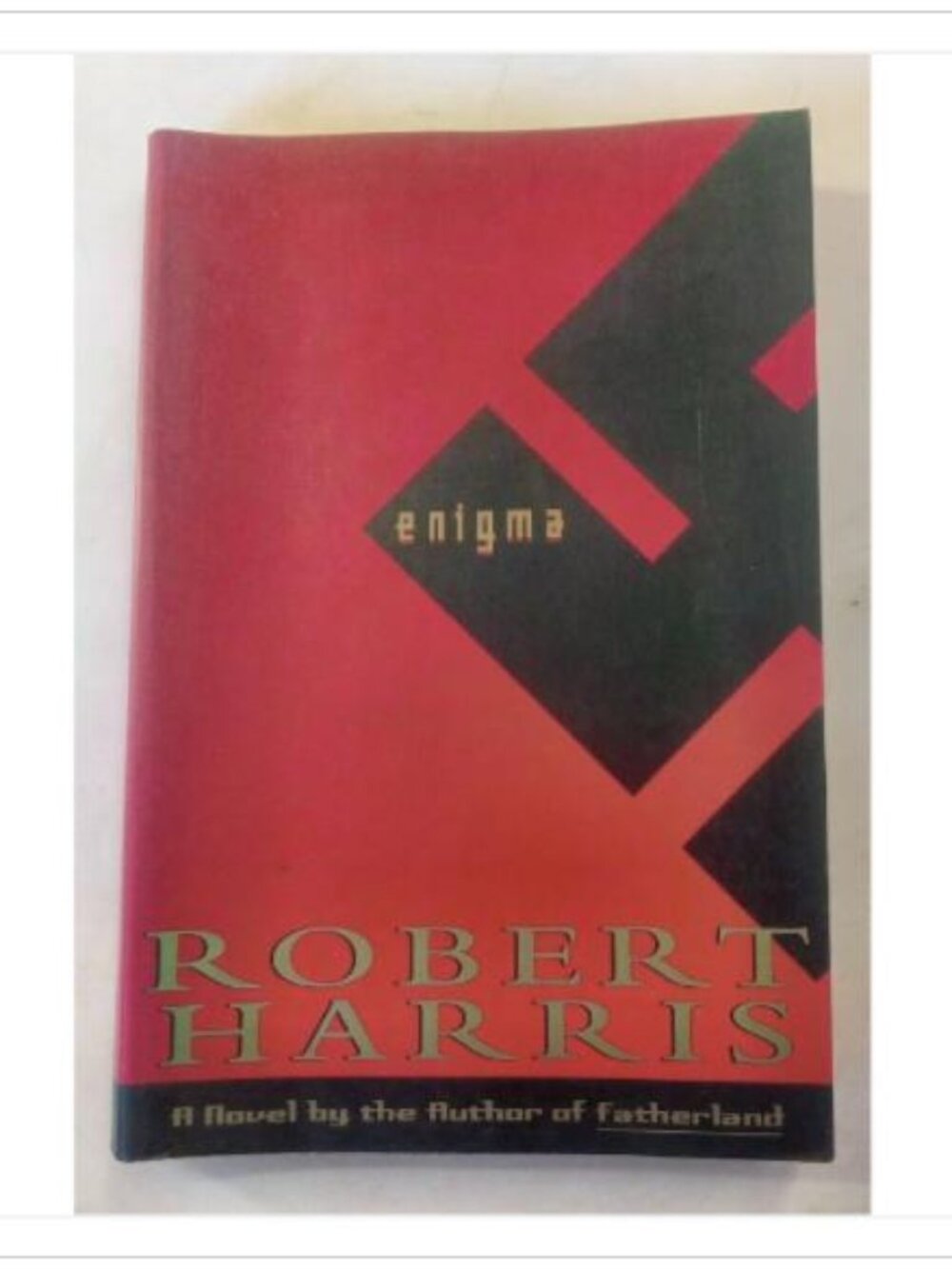Enigma A Novel Random House First US Edition 1995 HC